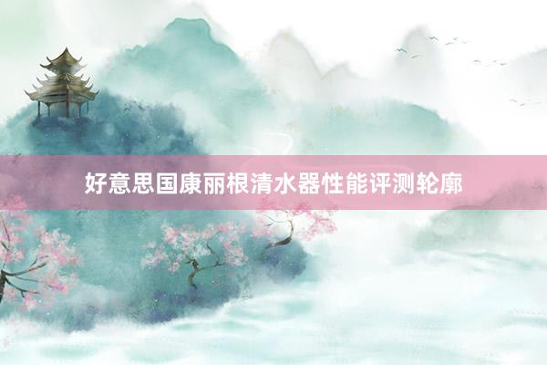 好意思国康丽根清水器性能评测轮廓